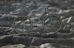 Wittson-titanium-29er-bicycle-Bestia-001.jpg