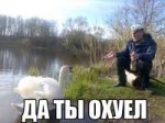 да-ты-охуел.jpg