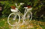 88532360-bicicleta-vieja-pintada-de-blanco-con-macetas-en-e[...].jpg