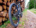 9-SCHWALBE-Thunder-Burt-2.25.jpeg