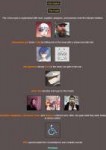 FireShot Capture 155 - BrantSteele Hunger Games Simu - http[...].png