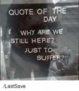 quote-of-the-day-r-why-are-we-still-here-3539678[1].png