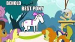 377323safememehomestuckforced memebest ponymaplehoof