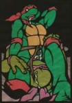 206724 - Donatello Raphael TeenageMutantNinjaTurtles.jpg