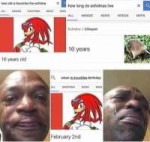 how-old-is-knuckles-the-echidna-how-long-do-echidnas-live-a[...].jpg