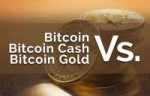 bitcoin-vs-bitcoin-cash-vs-bitcoin-gold-696x449.jpg