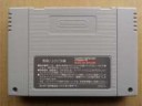 snes-paneldeponcart2