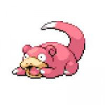 15677027577450.gif