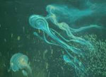 медузы.jpg