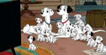 1566737868upload-1023300-disney-announces-101-dalmatians-di[...].jpg