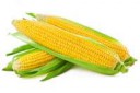 corn.jpg