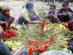 West-Papua-Suanggama-Tribal-Dinner.jpg