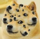 b9710fdfde64c6688492dc87be797da2--doge-meme-photoshop.jpg