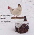 peace.jpg