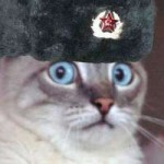 shocked sovietcat.jpg