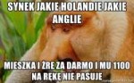 synek-jakie-holandie-jakie-anglie-mieszka-i-re-za-darmo-i-m[...].jpg