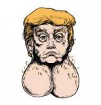 618f61bd0649e65d4ae3f4eab1355390donald-the-dicktator-vinyl-[...].jpeg