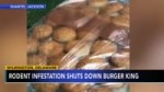 Burger King in Delaware reopens after video of rodents on h[...].webm