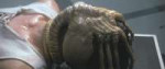 Alien-TheFacehugger.png