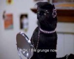 black-cat-funny-grunge-Favim.com-2296275.jpg