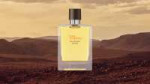 terre-d-hermes-eau-intense-vetiver-ambroisetezenas-6.jpg