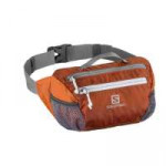 Salomon Icon Belt waistpack.jpg