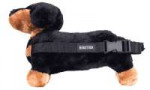 fanny-packs-pupper-pack-dachshund-1.gif