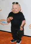 Mini-Me-Austin-Powers-actor-Verne-Troyer-dies-aged-49.jpg