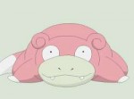 pokemon-slowpoke