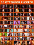 50ShadesOfGinger.jpg