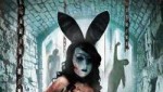 bunni-featured1.jpg