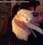 дашаКотик.webm