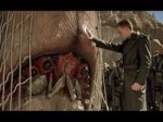 9aefc66ef20da2123001b3c8ef5015b2--starship-troopers--cinema.jpg