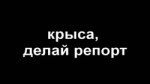 Крыса крыса.webm