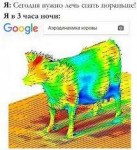 Без названия.jpg