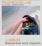 https-2ch.hk-ukr-res-687602.html-687602-2018-07-11-09-59-34[...].png