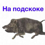 На подскоке.png