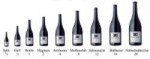 bottles-of-wine-in-sizes1.jpg