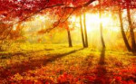 earth-seasons-fall-23750.jpg