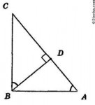 geom7pog-137.jpg