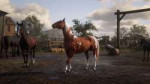 red-dead-redemption-2-horse-taming.jpg