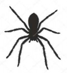 depositphotos129470812-stock-illustration-black-spider-silh[...].jpg