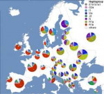 PercentageofmajorY-DNAhaplogroupsinEurope.png