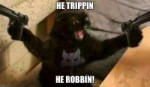 angry-black-cat-memes-2.jpg