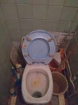 toilet2.jpg