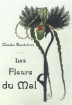 Fleurs-du-maltitel.jpg