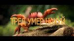 ТРЕД УМЕР НАХУЙ.mp4