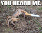 you-heard-me-crab.jpg