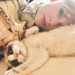 taylor-swift-cat-3.jpg