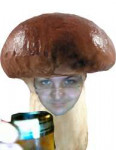 mushroomPNG3195.png